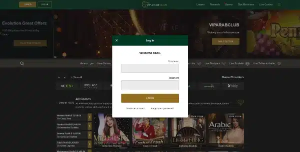 Enter your personal information on VIPArabClub